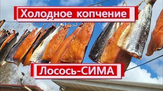 Холодное копчение симы (рецепт подходит для любого лосося) Пошаговый рецепт. Получится у всех