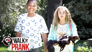 Skunk | Walk the Prank | Disney XD