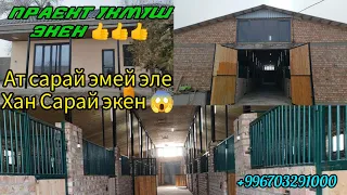 Сапатка басым жасаптыр/ Укмуш ат сарай баардык шарты менен 👍 Тел+996703291000.