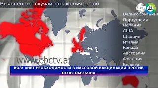 ВОЗ: Нет необходимости в массовой вакцинации против оспы обезьян