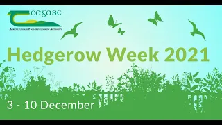 Hedge Cutting - Hedgerow Week 2021