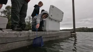 Celebrating the Release of 250,000 Baby Lake Sturgeon Into the Wild