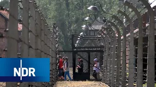 Auschwitz: Arbeit und Alltag in der Gedenkstätte | 7 Tage | NDR Doku
