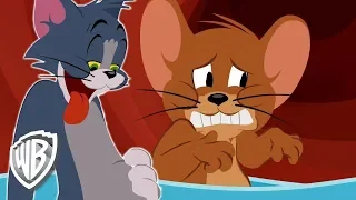 Tom y Jerry en Latino | Dolor de barriga | WB Kids
