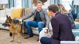 Trevor Donovan and His Dogs - Home & Family