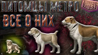 Все о ПИТОМЦАХ в "МЕТРО 2033"