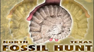 Amazing FOSSIL Hunt in North Texas Creek - February 2024