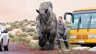 The 10 Biggest and Strongest Horses Ever