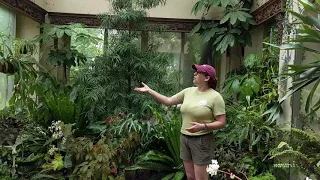 Creating an Indoor Garden