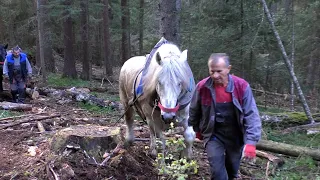 -FURMANI  ROMANIJE POSLA SE NE BOJE -