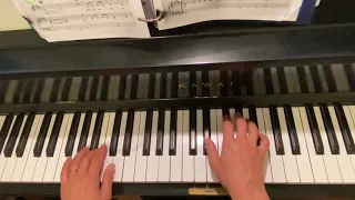 Flora’s Secret by Enya (piano solo)