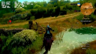 The Witcher 3  900p  ultra
