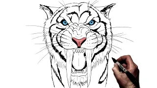 How To Draw A Sabertooth Tiger | Step By Step