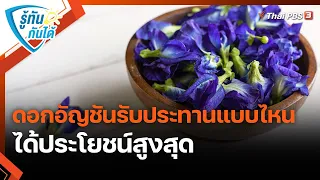 ดอกอัญชันรับประทานแบบไหนได้ประโยชน์สูงสุด | รู้ทันกันได้