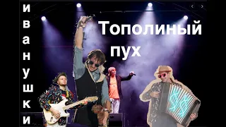 ТОПОЛИНЫЙ ПУХ  cover by  БУБЛЬГУМ