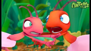 Bubble Trouble |😄🐜| Antiks Adventures - Joey and Boo's Playtime