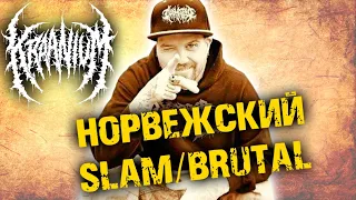 Kraanium - норвежский Slam / Brutal Death Metal / Обзор от DPrize