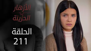 مسلسل الأزهار الحزينة | الحلقة 211 - الموسم الثاني