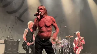 Iggy Pop - The Passenger (Live)