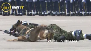 Brillant Security Performance By Nigeria Airforce Dogs