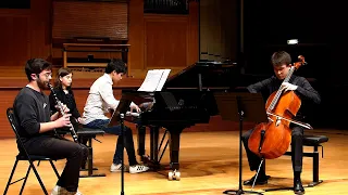 Zemlinsky, Trio en ré mineur pour clarinette, violoncelle et piano, Op. 3 (1er mouvement)