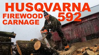 Husqvarna 592 XP chainsaws -FIREWOOD CARNAGE!