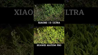 SO SÁNH CAMERA XIAOMI 13 ULTRA VS HUAWEI MATE 50 PRO