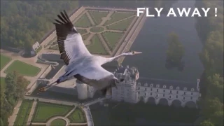 I'll Fly Away Jim Reeves Lyric Music Video