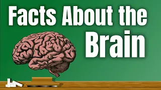 Facts About the Brain | Lesson Video