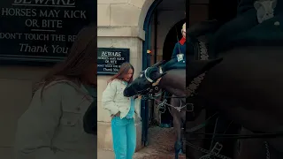 Royal Guard Horse Warns Tourist | Horse Guards, Royal guard, Kings Guard, Horse, London, 2024