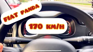 170km/h FIAT PANDA😎✌️