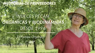 Pioneros en producción de Nuez Pecán orgánica y biodinámica