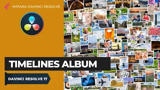 Timelines Album | Color | Davinci Resolve ITA