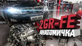 Toyota не ломается, говорили они!  Анатомичка 2GR-FE Lexus RX350