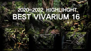 16 Best Vivarium Highlight 2020-2022