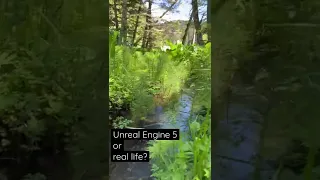 Unreal Engine 5 or real life? Is it nature or Nanite!?