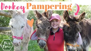 Donkey Pampering + Transformation | AD This Esme