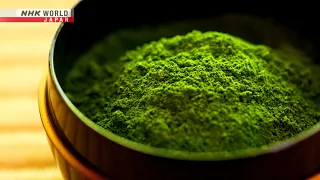 JAPANESE GREEN TEA: Unbelievable Matcha Making - Dig More Japan