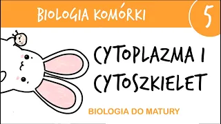 Cytologia 5 - cytoszkielet i cytoplazma cytozol - biologia matura poziom rozszerzony liceum