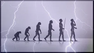 The Evolution Of Humans | Science Full Documentary