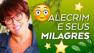 Alecrim e seus Milagres, por Márcia Fernandes