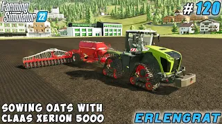 Planting potatoes, sowing wheat & oats, selling sorted potatoes | Erlengrat Farm | FS 22 | ep #120