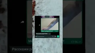 мем #tiktok #мем #meme #мемы