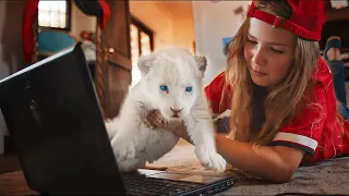 This Girl Decides to Raise a Lion as Her Pet and Protects Him Until He Grows Up.