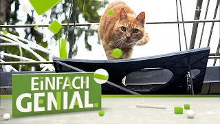 Hoch hinaus mit der faltbaren Katzenleiter | Einfach genial | MDR