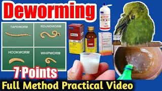 How to Deworming Birds | Deworming of Parrot | Full Briefly in 7 Points with Practical Video