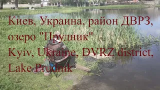 Киев, Украина, район ДВРЗ, озеро "Прудник" / Kyiv, Ukraine, DVRZ district, Lake Prudnik / 27.04.2024