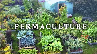Using Permaculture to Create Productive & Beautiful Gardens