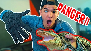 UNRIPPABLE GLOVE vs BABY ALLIGATOR!!