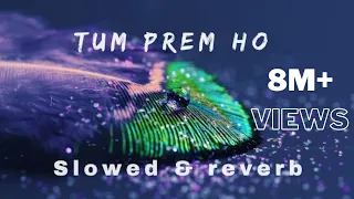 Tum Prem Ho Tum Preet Ho (Radha Krishna)[SLOWED+REVERB]| Bhajan Lofi 2023